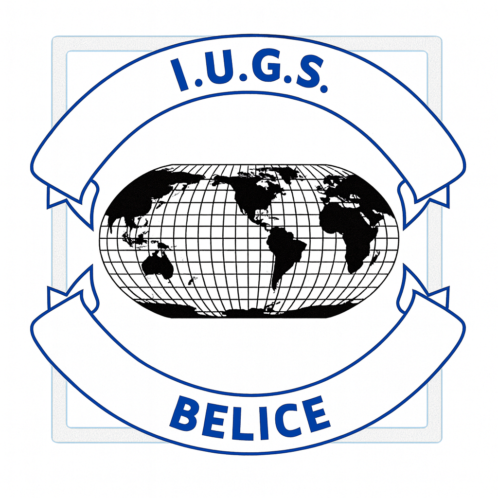 Logo International University