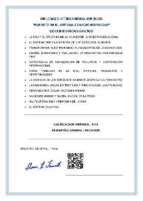 MODELO DIPLOMA EXPERTO SISTEMA NACIONES UNIDAS